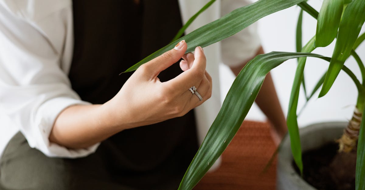 Legal Implications of Alterations in Co-op Properties