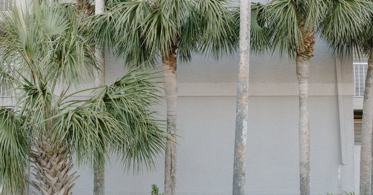 Navigating Seller Disclosures in Co-op Sales