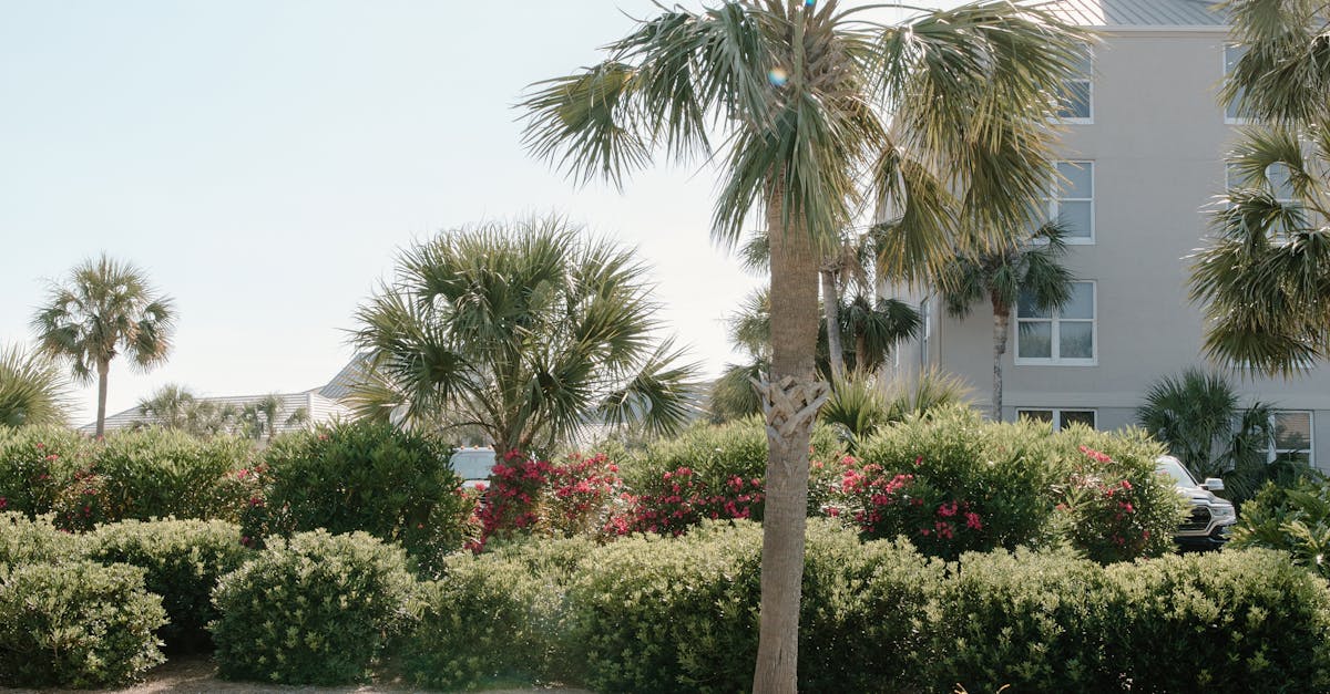 What to Expect During Your First Co-op Closing